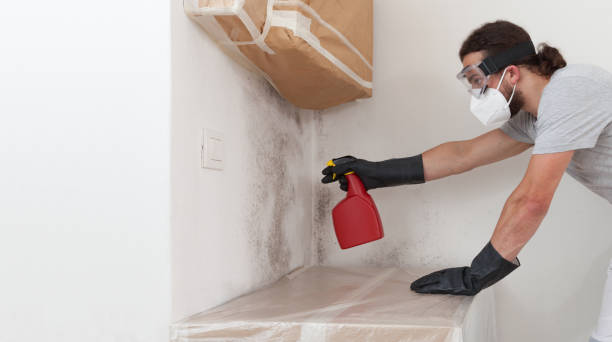 Professional Mold Remediation technician working in Remington, VA